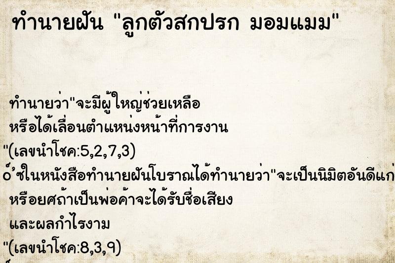 ทำนายฝัน ลูกตัวสกปรก มอมแมม